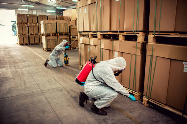 Best Ant Control Services  in Carlisle, IA