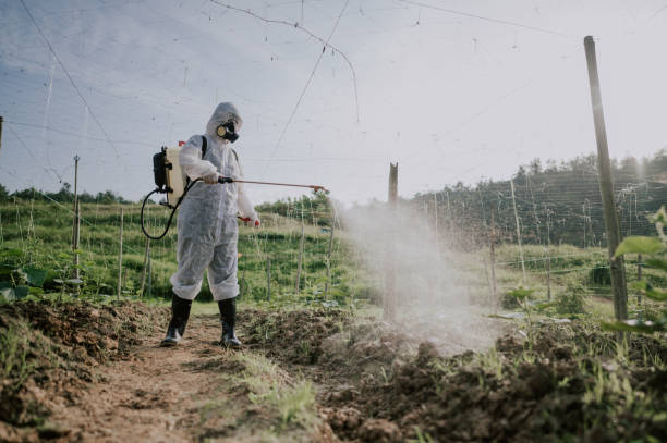 Best Mosquito Control Services  in Carlisle, IA