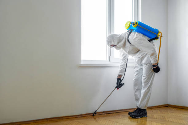 Best Termite Control Services  in Carlisle, IA