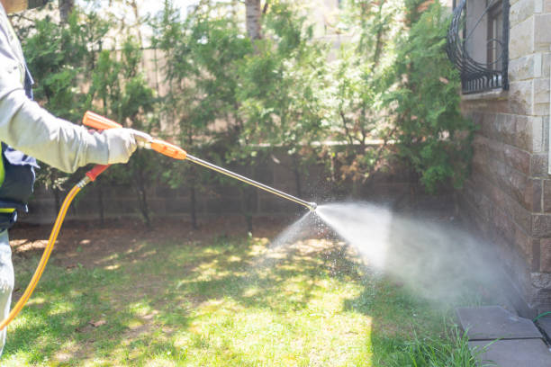 Best Affordable Pest Control Services  in Carlisle, IA