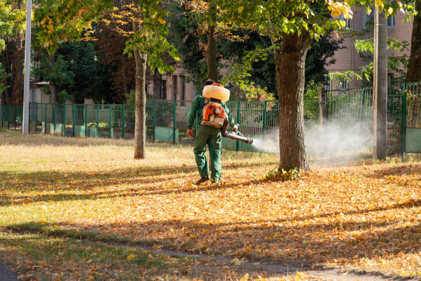 Best Pest Prevention Services  in Carlisle, IA