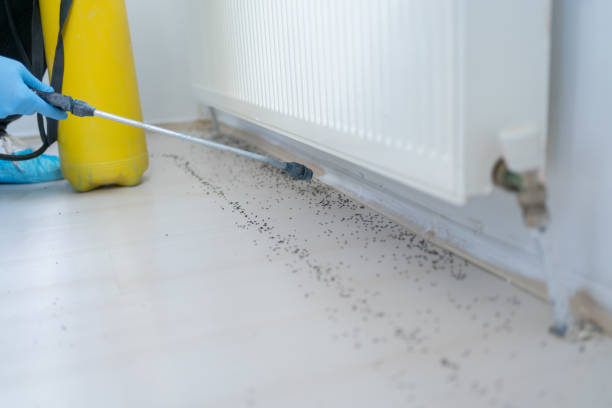 Pest Prevention Services in Carlisle, IA