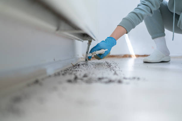 Best Pest Prevention Services  in Carlisle, IA